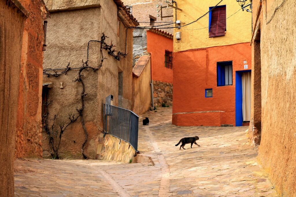 street, cat, rural-4205751.jpg